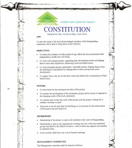 Constitution Scroll 1